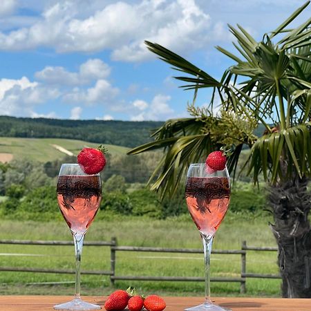 Domaine-De-La-Borde A Epernay Bed & Breakfast Mardeuil Dış mekan fotoğraf