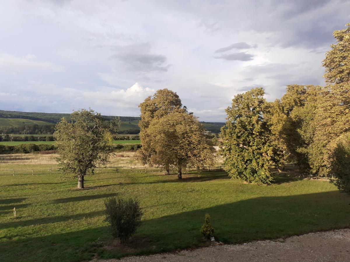 Domaine-De-La-Borde A Epernay Bed & Breakfast Mardeuil Dış mekan fotoğraf