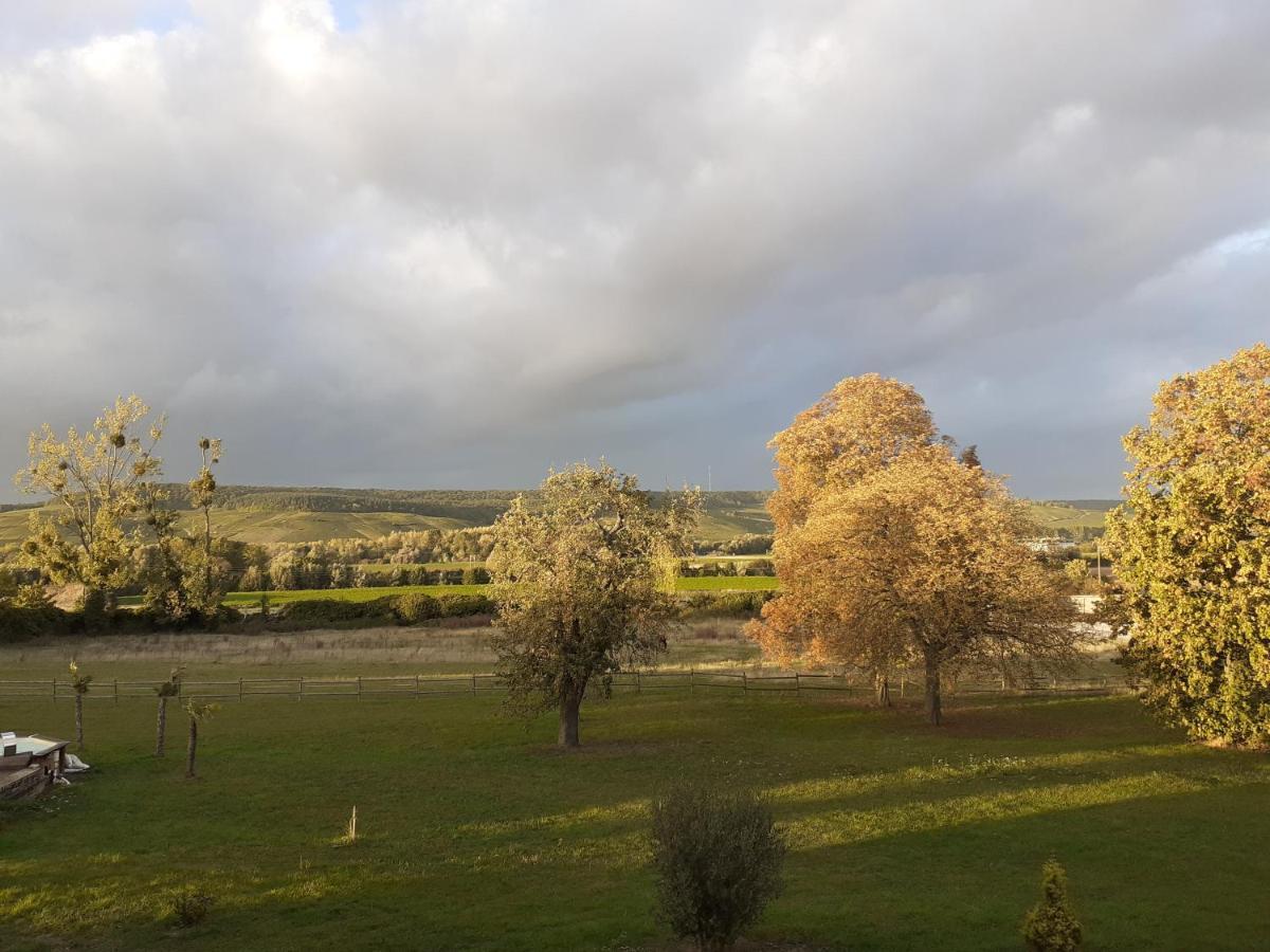 Domaine-De-La-Borde A Epernay Bed & Breakfast Mardeuil Dış mekan fotoğraf