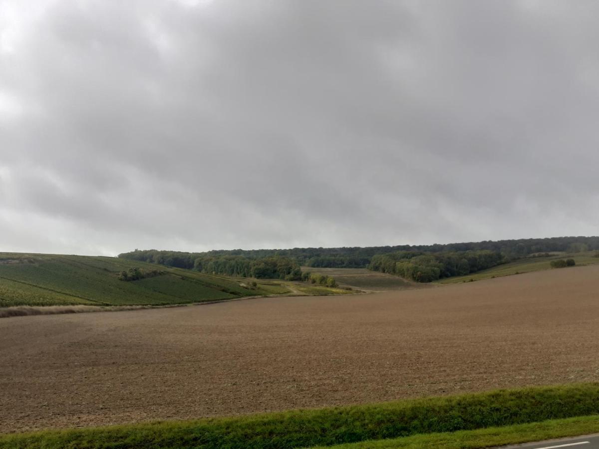Domaine-De-La-Borde A Epernay Bed & Breakfast Mardeuil Dış mekan fotoğraf