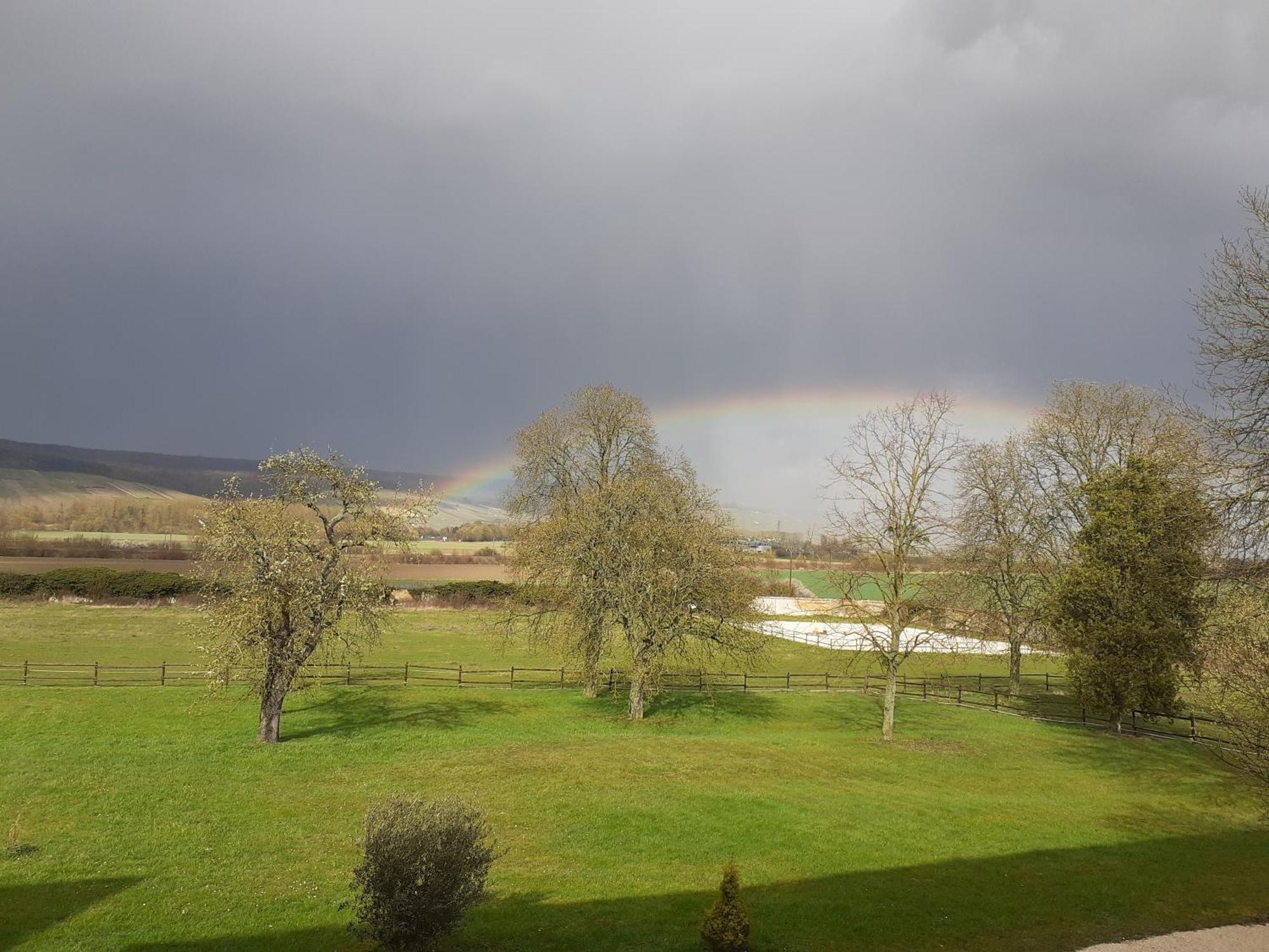 Domaine-De-La-Borde A Epernay Bed & Breakfast Mardeuil Dış mekan fotoğraf