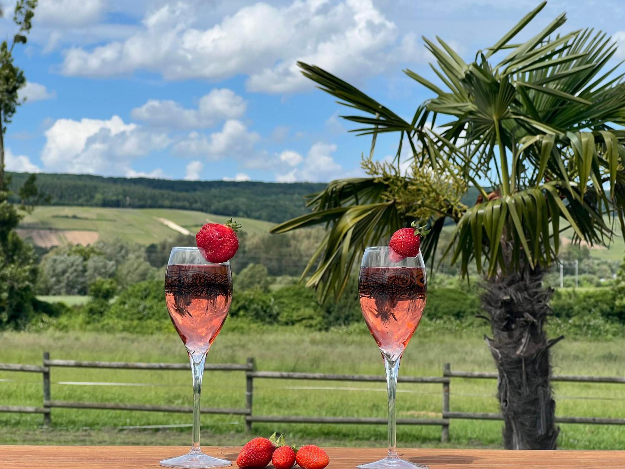 Domaine-De-La-Borde A Epernay Bed & Breakfast Mardeuil Dış mekan fotoğraf
